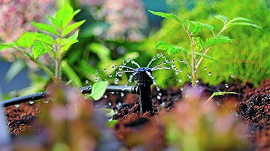 mini arroseur fin de ligne 2788 hozelock mini arroseur fin de ligne 2788 hozelock